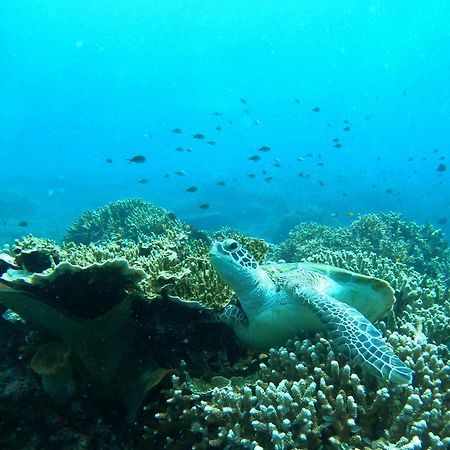 4 Sisters Divers Bunaken Exterior photo
