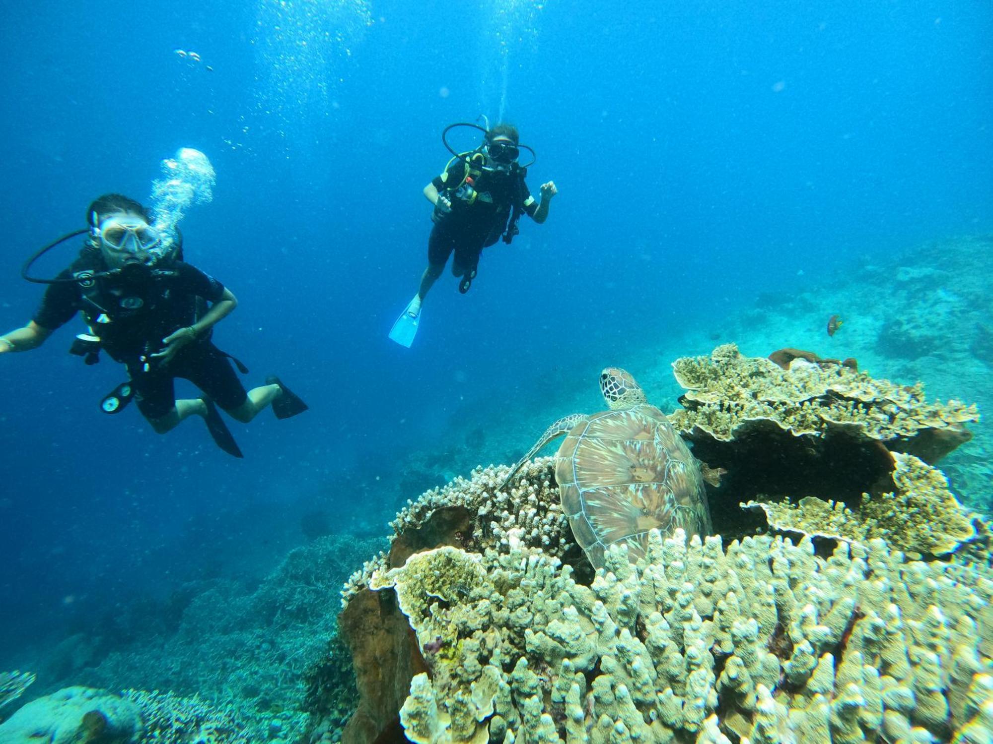4 Sisters Divers Bunaken Exterior photo