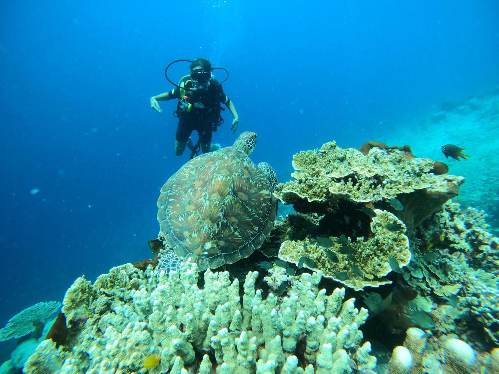 4 Sisters Divers Bunaken Exterior photo
