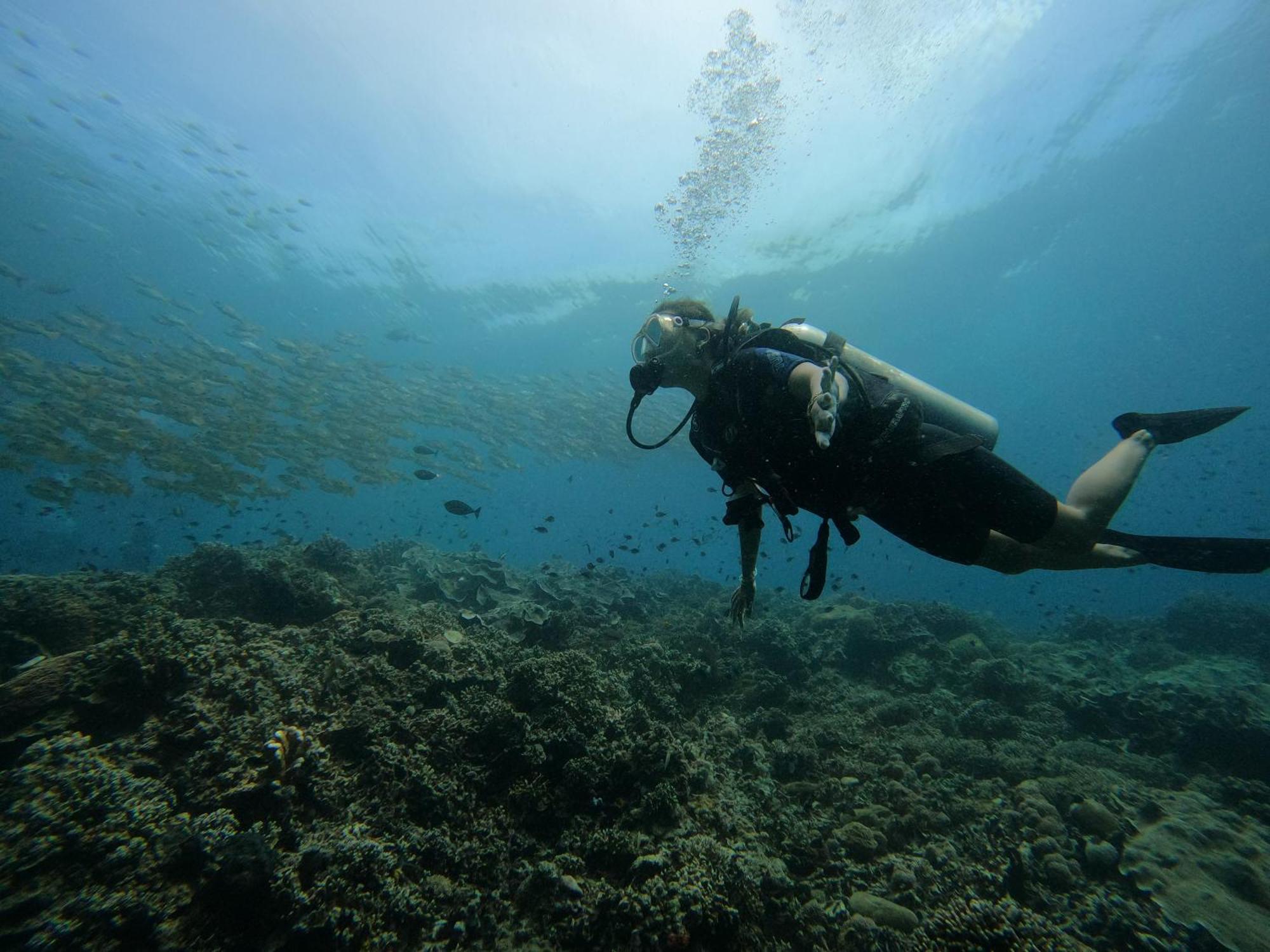 4 Sisters Divers Bunaken Exterior photo