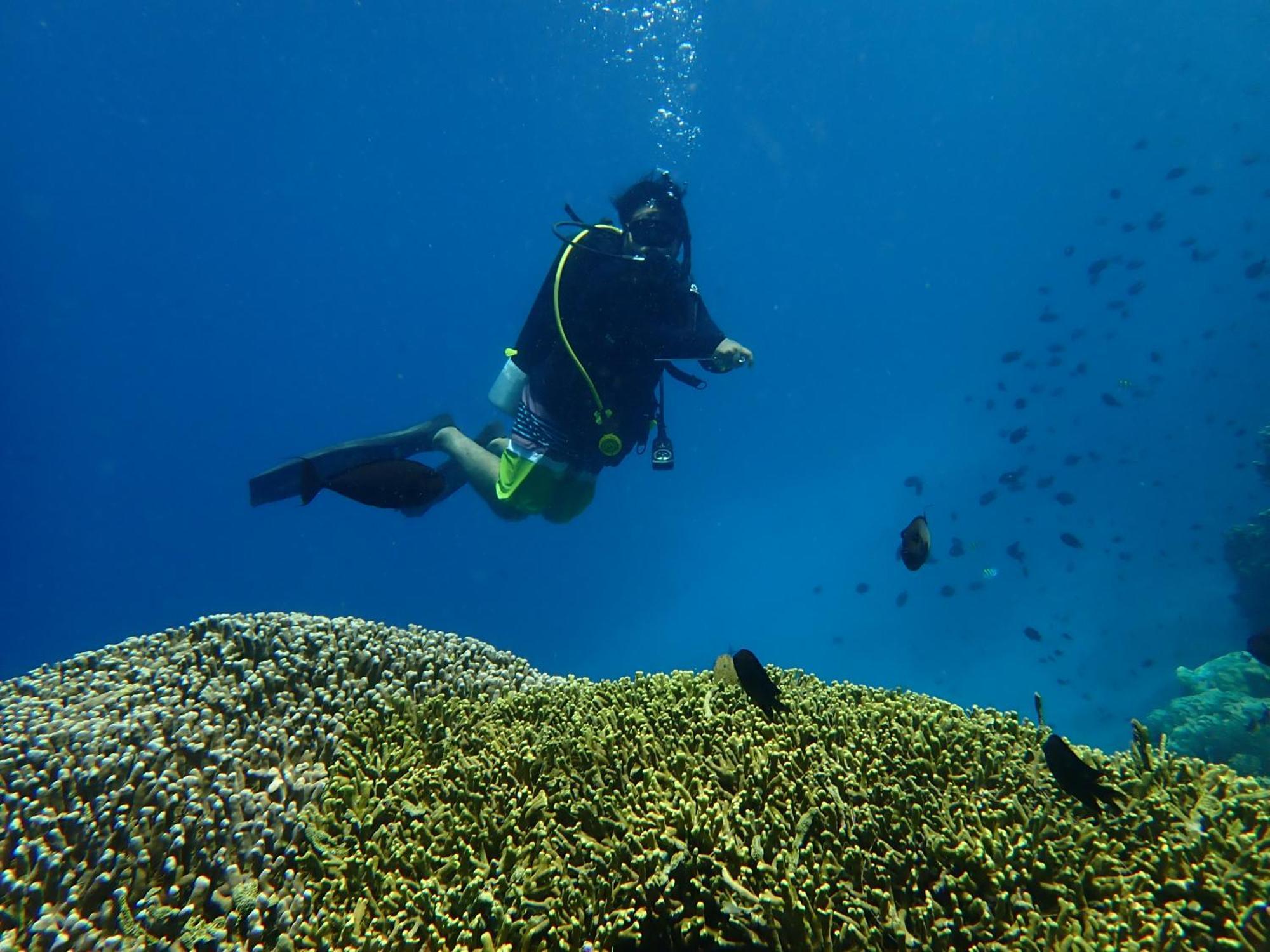 4 Sisters Divers Bunaken Exterior photo